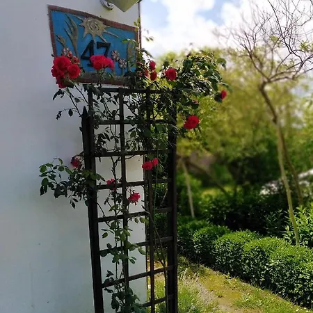 ロッジ Siedlisko Wiejskie