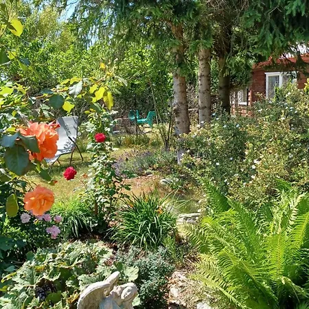 Siedlisko Wiejskie *