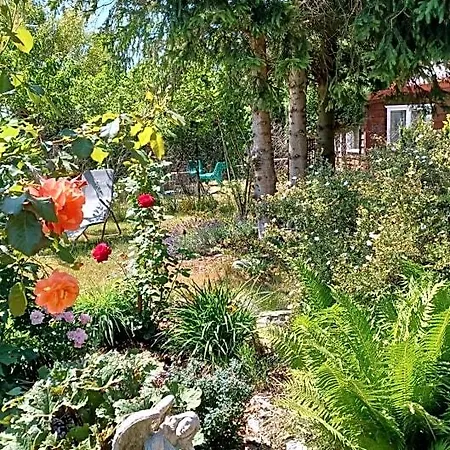 Alojamento de Turismo Selvagem Siedlisko Wiejskie *