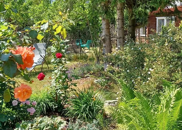 Siedlisko Wiejskie *